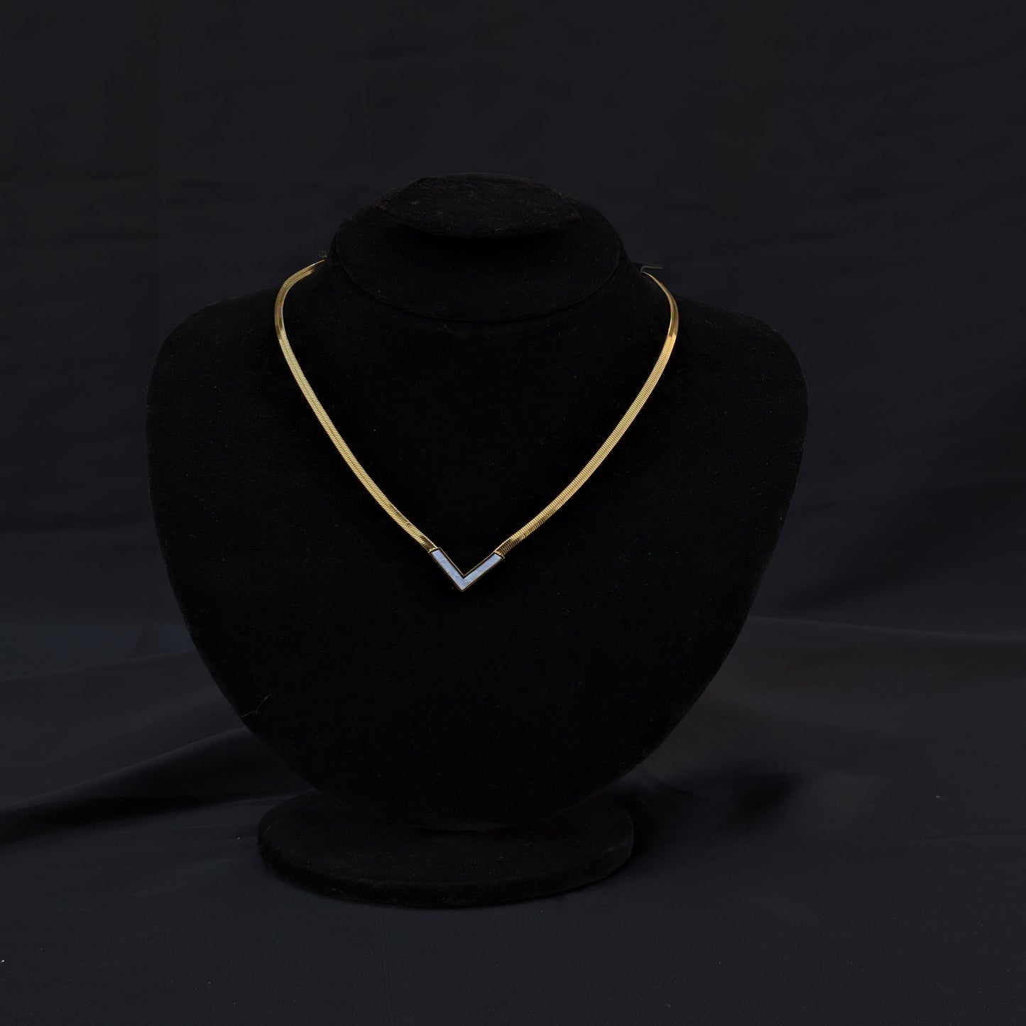 ✨Snake Chain V Stainless Steel Necklace✨