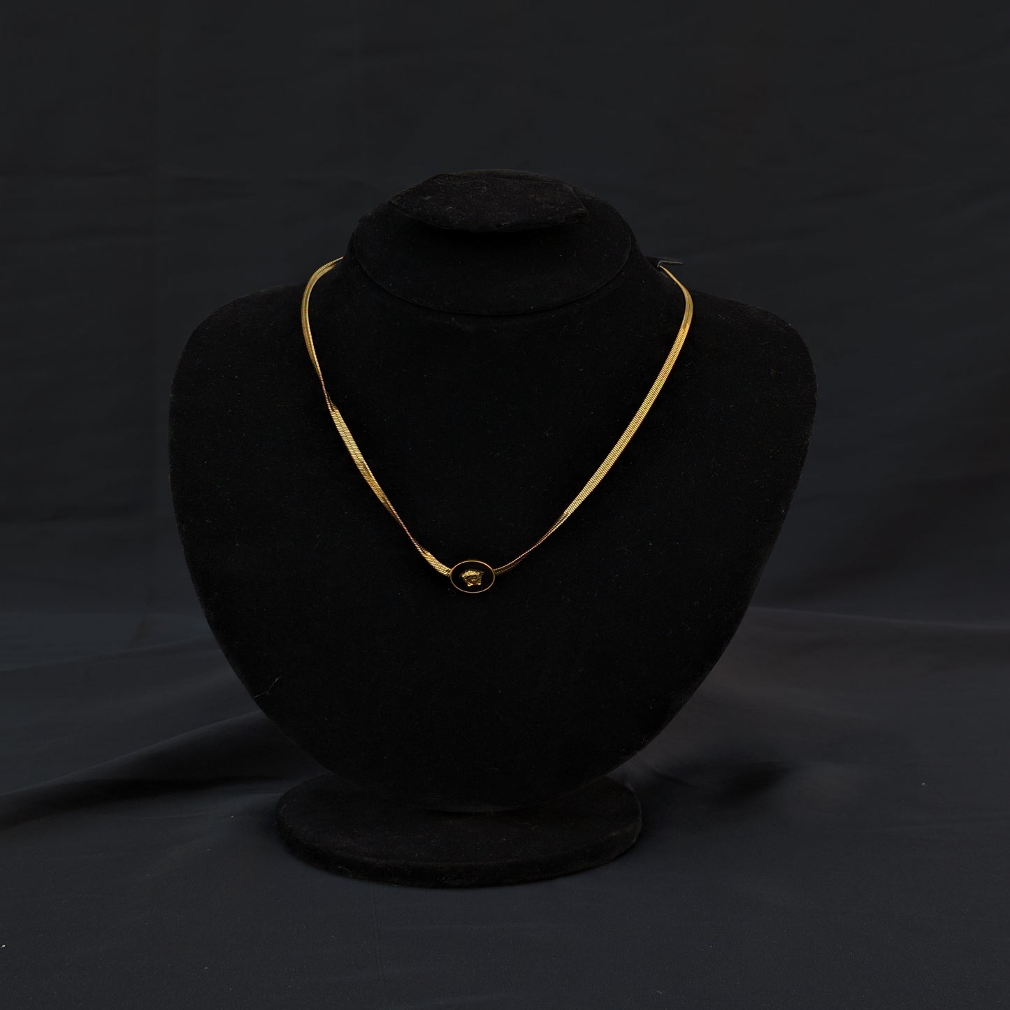 ✨Golden Snake Chain Loin Stainless Steel Necklace✨